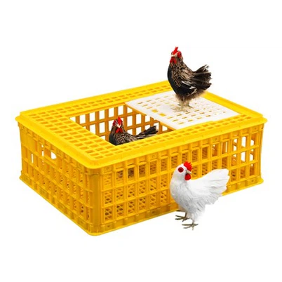 Rennihurð úr plasti kjúklingakassi