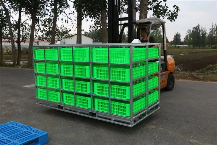 Chicken Transport Drawer. H 255 mm