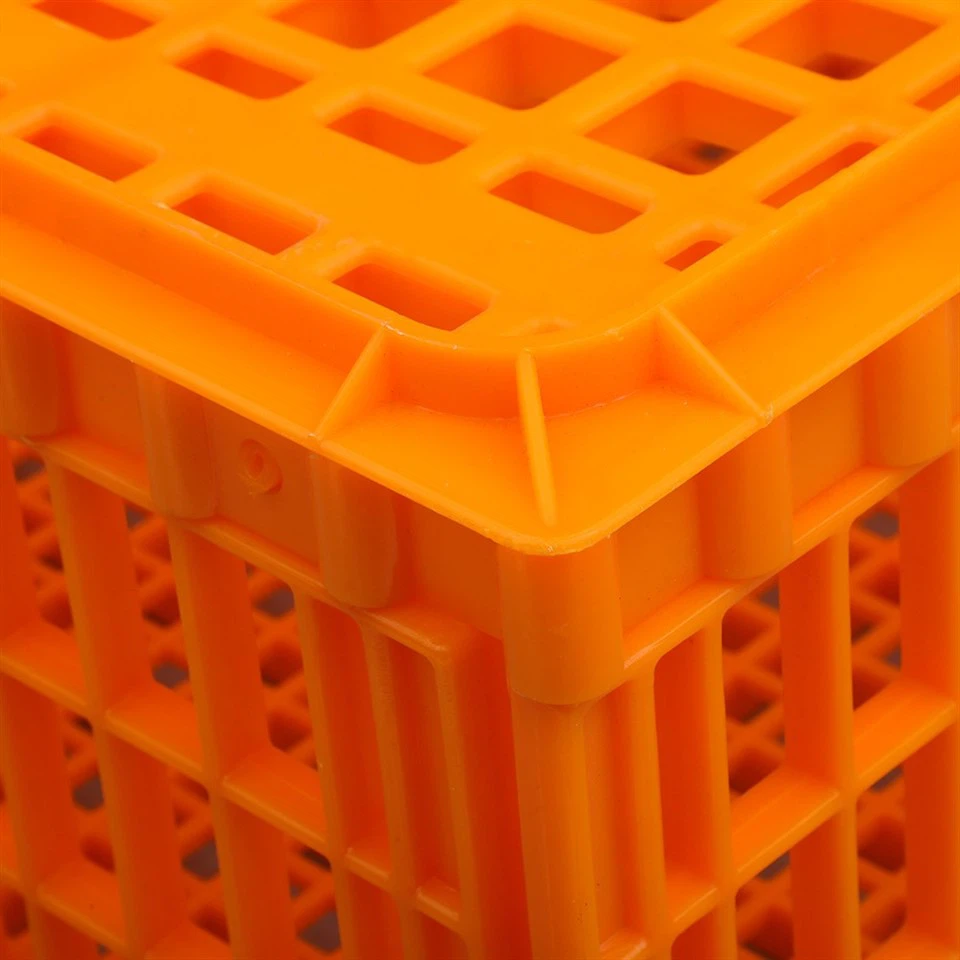 Plastic Chicken Transport Box