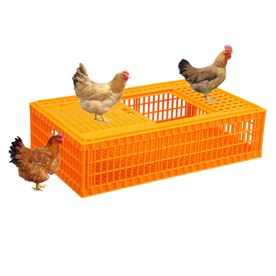 Alifuglakassa úr plasti