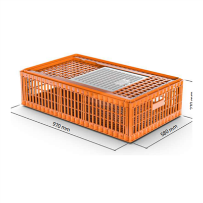 UV stöðugt kjúklingakassi úr plasti